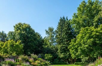 Na de winter een flets gazon? Met deze simpele tip is het snel weer diepgroen