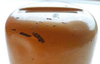 Mysterieuze zoldervondst: herken jij waar dit potje vroeger voor diende?