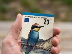 Zo herken je straks de nieuwe eurobiljetten: dit zijn de opvallendste veranderingen