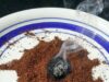 Koffie in brand in de tuin: het slimme trucje dat je vanavond nog wilt proberen