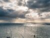Onderzoek: miljarden belastinggeld naar windparken op zee, milieuwinst weegt niet op tegen de kosten