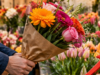 Prijsalarm in de sierteelt: bloemen en planten fors duurder, duizenden banen in gevaar